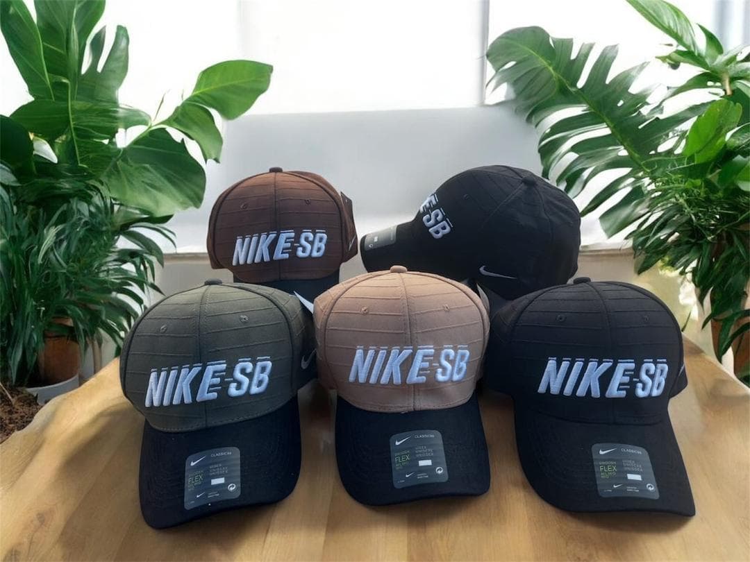 Nike SB Cap